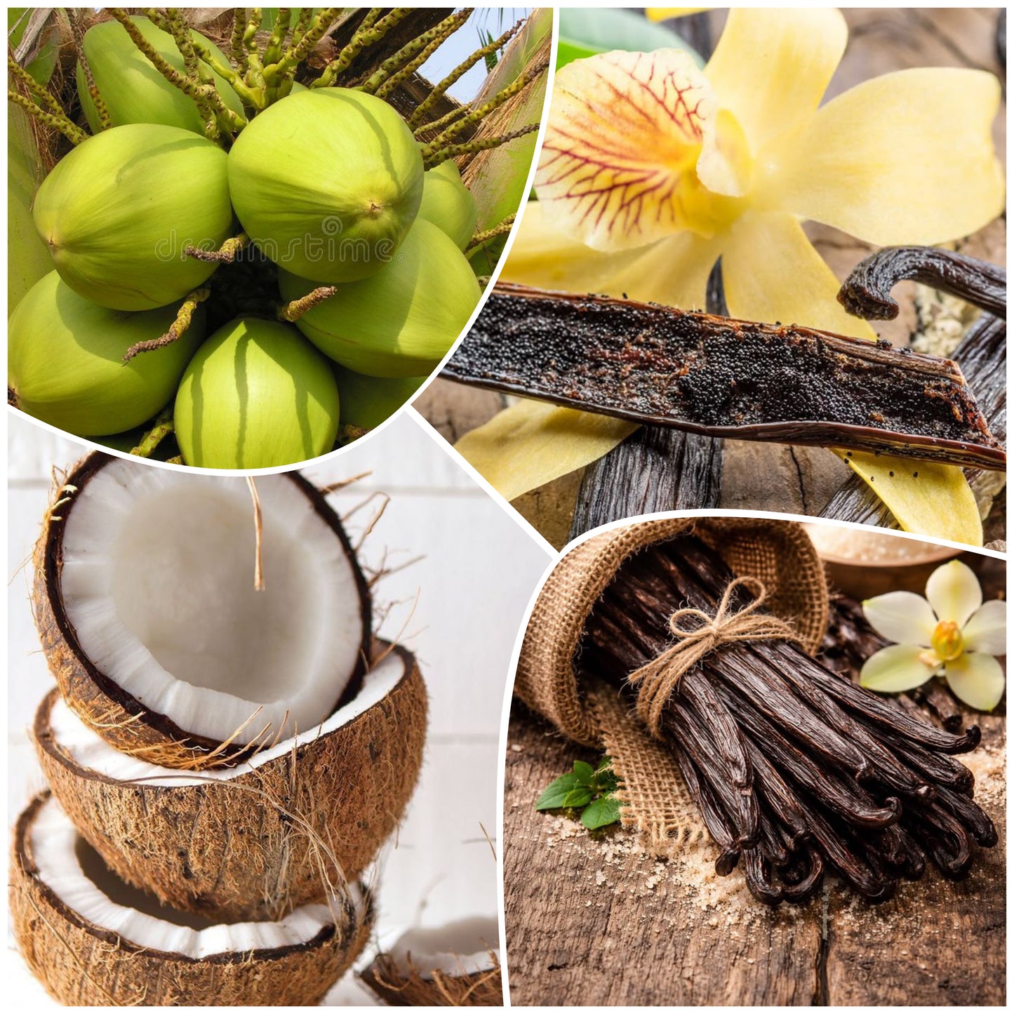 Bougie Noix de Coco