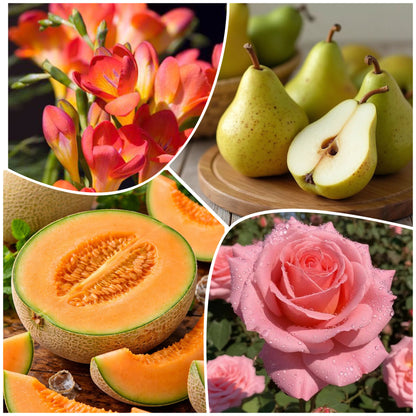 Bougie Poire Anglaise et Frésia