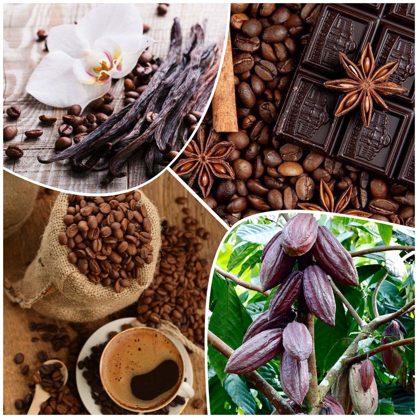 Bougie L'heure du Café